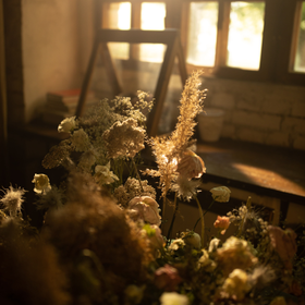 The Bosco Studio