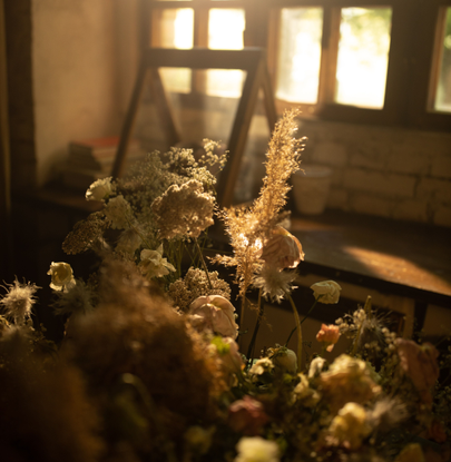 The Bosco Studio